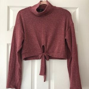 Plum Cowl Neck Crop top Sweater